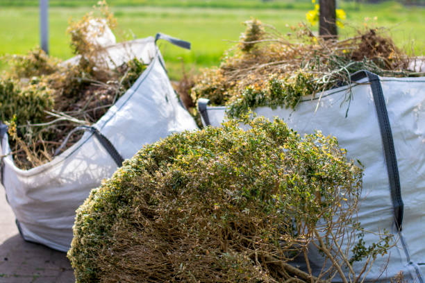 Best Dumpster Rental Services  in Johnston, SC